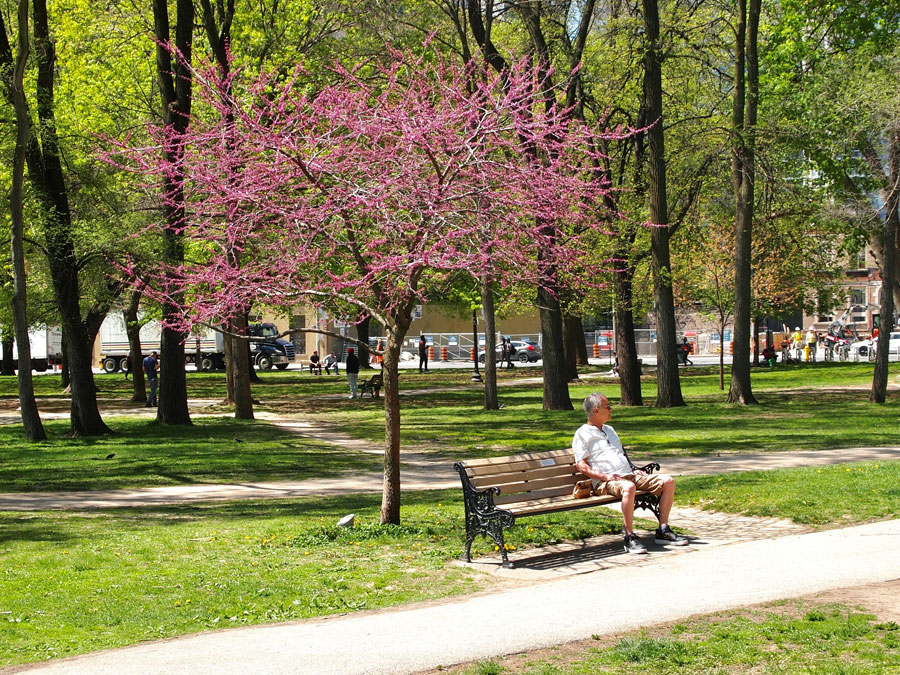 allen-gardens-park