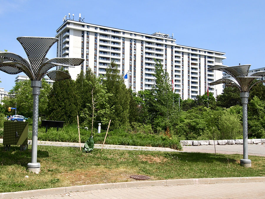 through-palm-trees-at-science-centre